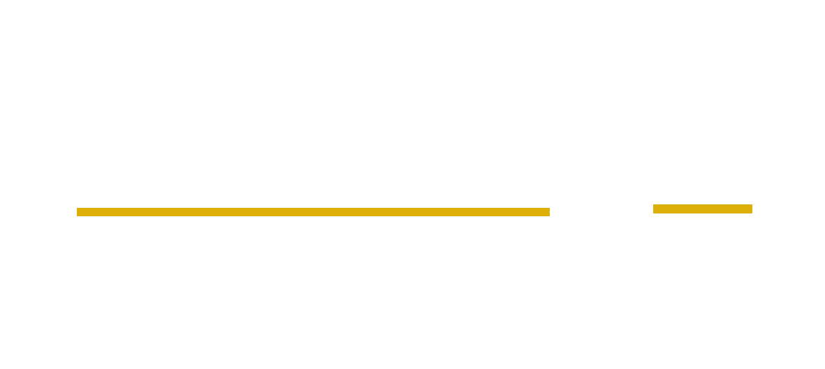 Chicago Capital Expert